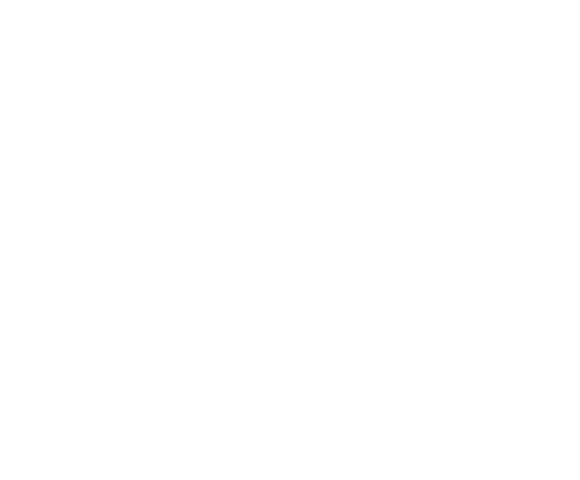 素朴な人情と情緒あふれる肘折温泉。肘折でとれる香りたかき山菜やきのこ・川 魚等、旬の味覚をご用意して 皆様のお越しをお待ちしております。時間帯によって３ヶ所の浴室を貸切で温泉をご利用いただけます。誰にも邪魔されない贅沢な時間をお楽しみください。